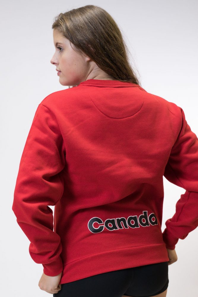 Crewneck Sweater (Small logo)|Pull (Petit logo)